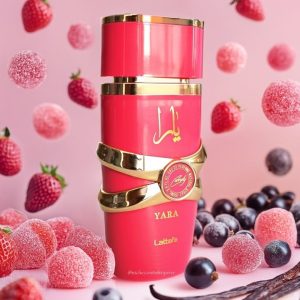 Dubai Perfumes BY PERFUME WORLD
